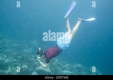 Foto subacquea di snorkeling a Iboih, Isola Pulau WEH, Provincia di Aceh, Sumatra, Indonesia, Asia, sfondo con spazio copia Foto Stock