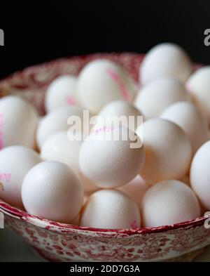 piatto di uova fresche appena posate dalla gallina Foto Stock