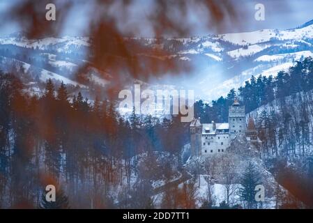 Castello di Bran coperto di neve in inverno, Transilvania, Romania Foto Stock