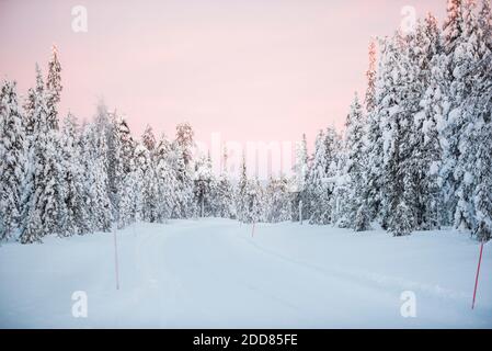 Strada coperta di neve attraverso una foresta in inverno nel Circolo polare Artico in un viaggio su strada in Lapponia, Finlandia Foto Stock