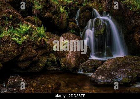 Lodore Falls, una cascata vicino a Keswick e Derwent Water, Lake District, Cumbria, Inghilterra, Regno Unito, Europa Foto Stock