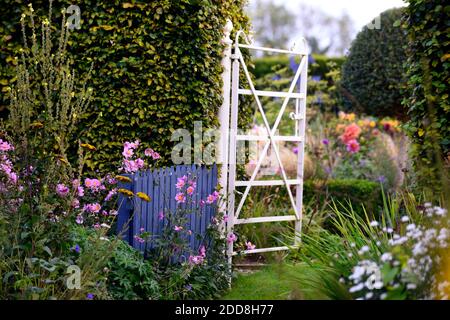 cancello in metallo bianco, cancello in ferro battuto, giardino cottage, confini erbacei, percorso, percorso, percorso falena, anemone japonica, dahlias, dahlia, giallo, rosa, fiori, misto Foto Stock