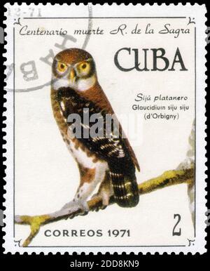 San Pietroburgo, Russia - 12 novembre 2020: Francobollo stampato a Cuba con l'immagine della Pigmia gufo cubana, Glaucidium siju, circa 1971 Foto Stock