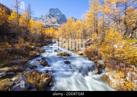 Autum al fiume Cairasca con il Monte Leone sullo sfondo. Alpe Veglia, Val Cairasca, Val Divedro, Val Ossola, Varzo, Piemonte, Italia. Foto Stock