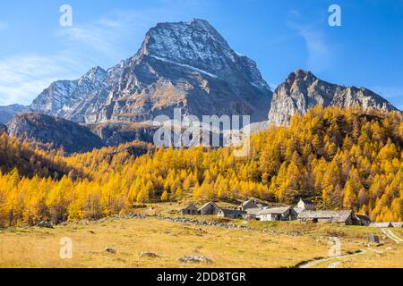 Autunno sulla strada per Cianciavero e Monte Leone sullo sfondo. Alpe Veglia, Val Cairasca, Val Divedro, Val Ossola, Varzo, Piemonte, Italia. Foto Stock