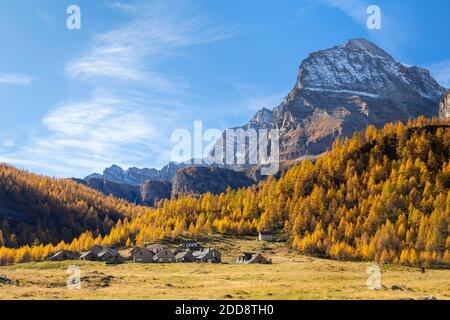 Autunno sulla strada per Cianciavero e Monte Leone sullo sfondo. Alpe Veglia, Val Cairasca, Val Divedro, Val Ossola, Varzo, Piemonte, Italia. Foto Stock