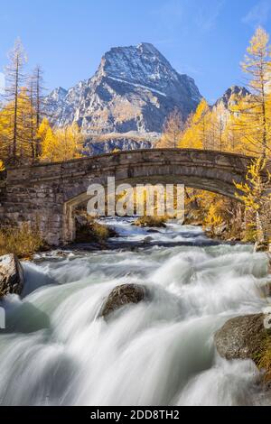 Autum al fiume Cairasca con il Monte Leone sullo sfondo. Alpe Veglia, Val Cairasca, Val Divedro, Val Ossola, Varzo, Piemonte, Italia. Foto Stock