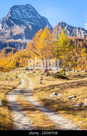 Vista autunnale della strada per Cianciavero e Monte Leone. Alpe Veglia, Val Cairasca, Val Divedro, Val Ossola, Varzo, Piemonte, Italia. Foto Stock