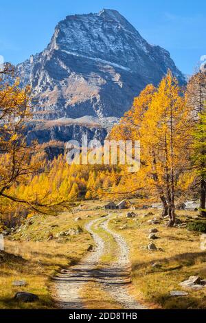 Vista autunnale della strada per Cianciavero e Monte Leone. Alpe Veglia, Val Cairasca, Val Divedro, Val Ossola, Varzo, Piemonte, Italia. Foto Stock