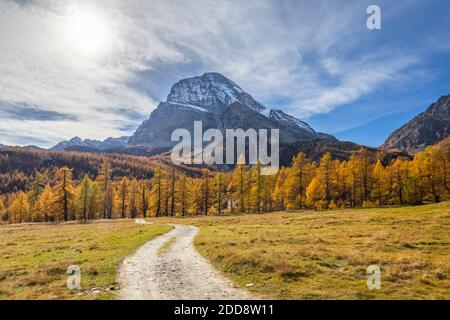 Vista autunnale della strada per Cianciavero e Monte Leone. Alpe Veglia, Val Cairasca, Val Divedro, Val Ossola, Varzo, Piemonte, Italia. Foto Stock