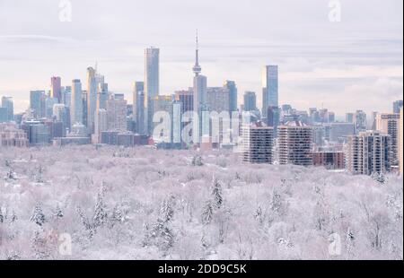 Lo skyline invernale di Toronto con gli edifici storici del centro e del centro, la neve e il gelo sulla tettoia dell'albero in primo piano. Foto Stock