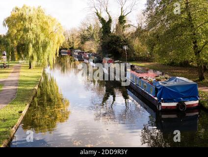 Il Grand Union Canal a Berkhamsted, Hertfordshire. Foto Stock