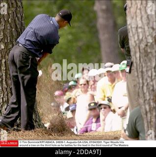 NESSUN FILM, NESSUN VIDEO, NIENTE TV, NESSUN DOCUMENTARIO - © TIM DOMINICK/KRT/ABACA. 24939-1. Augusta-GA-USA, 07/04/2001. Tiger Woods colpisce intorno ad un albero sul terzo buco mentre lotta per il piombo nel terzo round dei Masters Foto Stock