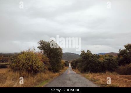 Strada di campagna circondata da campi in autunno Foto Stock