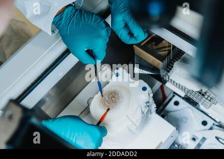Gli scienziati preparano la fetta cerebrale umana mentre si è in piedi da un congelatore a. laboratorio Foto Stock