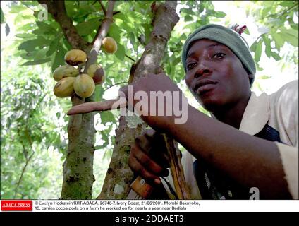 NESSUN FILM, NESSUN VIDEO, NESSUNA TV, NESSUN DOCUMENTARIO - © EVELYN HOCKSTEIN/KRT/ABACA. 26746-7. Costa d'Avorio, 21/06/2001. Mombi Bakayoko, 15 anni, porta i cialde di cacao in una fattoria su cui ha lavorato per quasi un anno vicino a Bediala Foto Stock