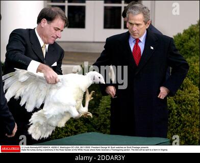 NESSUN FILM, NESSUN VIDEO, NESSUNA TV, NESSUN DOCUMENTARIO - © CHUCK KENNEDY/KRT/ABACA. 40230-2. Washington-DC-USA, 26/11/2002. Il presidente George W. Bush guarda come Scott prestage presenta Katie la turchia durante una cerimonia nel Rose Garden alla Casa Bianca dove Katie ha ricevuto un perdono di Ringraziamento. L'uccello wi Foto Stock