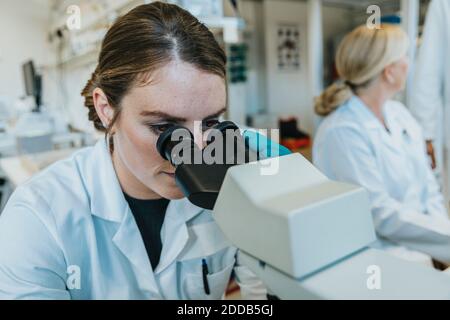 Assistente che analizza il vetrino al microscopio cerebrale umano al microscopio mentre si è seduti con lo scienziato in background in laboratorio Foto Stock