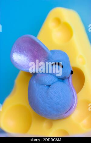 Il topo grigio dorme dolcemente su un pezzo di formaggio Cheddar giallo, sfondo blu Foto Stock