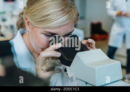 Scienziato femminile che guarda al microscopio mentre l'uomo è in piedi sullo sfondo in laboratorio Foto Stock