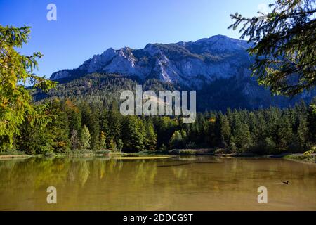 Un'idilliaca foto del lago Mondsee di fronte alle montagne di Salzkammergut, Austria Foto Stock