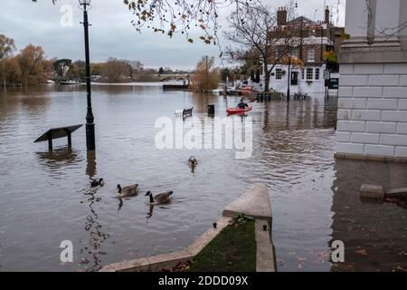 Canoa attraverso Richmond Riverside Walk, fiume Tamigi ad alta marea, Richmond Riverside, Richmond upon Thames, Surrey, UK Foto Stock