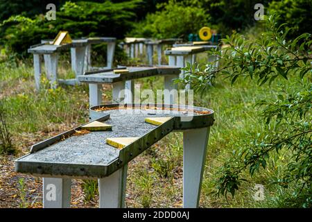 Campo da golf da tavolo fatiscente a Bad Kissingen, Germania Foto Stock