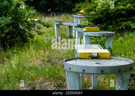 Campo da golf da tavolo fatiscente a Bad Kissingen, Germania Foto Stock