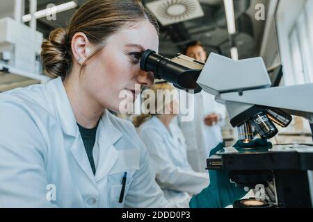 Assistente che analizza il vetrino del microscopio cerebrale umano mentre si siede con lo scienziato in background in laboratorio Foto Stock