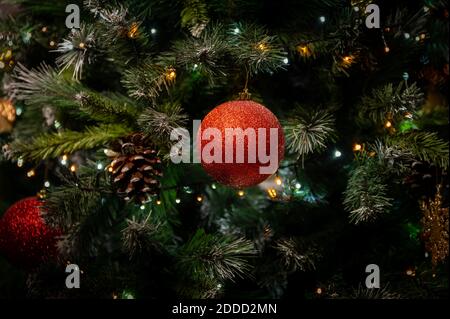 Primo piano di isolato Red Bobble su albero di natale. concetto di chirstmas. Albero soggiorno. Foto Stock