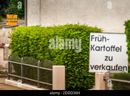 Le patate primaticce tedesche saranno disponibili a partire dall'inizio di giugno. I consumatori finali possono quindi acquistare le patate fresche direttamente dalla fattoria in sacchi da 5 chili a Ehekirchen, Germania Foto Stock