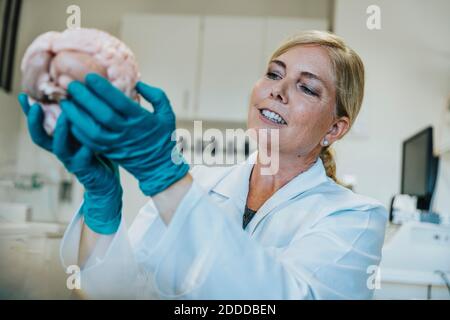 Donna matura sorridente che studia cervello umano artificiale mentre lavora a. laboratorio Foto Stock