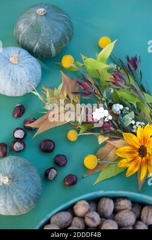 Flora autunnale con noci, zucche e fiori Foto Stock