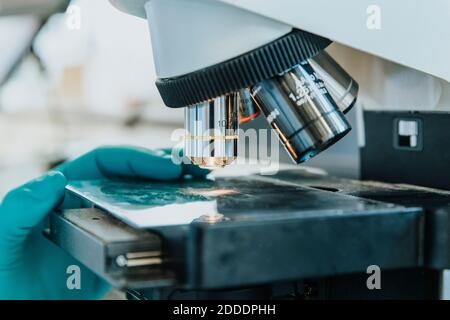 Primo piano della mano della donna che posiziona il vetrino al microscopio cerebrale umano sotto microscopio in laboratorio Foto Stock