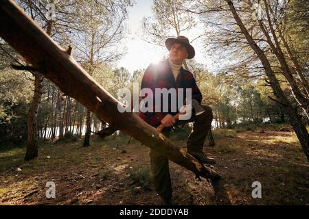 Bushcrafter con ascia in piedi da log mentre si guarda via dentro foresta Foto Stock