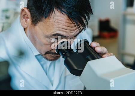 Scienziato maschile guardando al microscopio mentre l'uomo in piedi in background in laboratorio Foto Stock