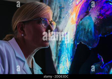 Scienziato femminile studiando circa cervello umano con fibra nervosa mentre in laboratorio Foto Stock