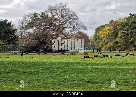 Persone che fanno esercizio all'aperto nel Greenwich Park durante la pandemia Covid19 In Inghilterra Foto Stock