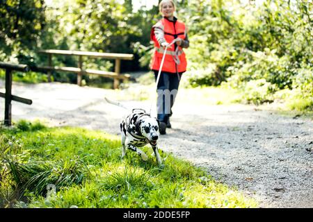 Istruttore femminile mantrainato cane dalmata al parco Foto Stock