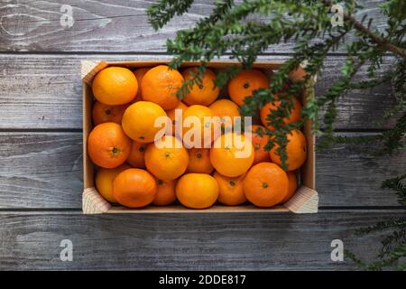 una scatola di tangerini arancioni maturi su un pavimento di legno sotto un albero di natale, regalo sano da santa Foto Stock