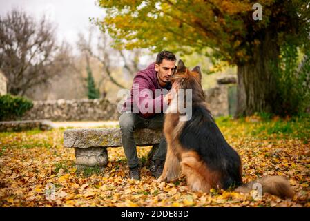 Uomo medio adulto che guarda il cane mentre si siede sulla panchina al parco Foto Stock