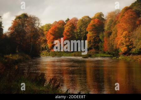 Pittoresco paesaggio autunnale foto della valle di Boyne Foto Stock