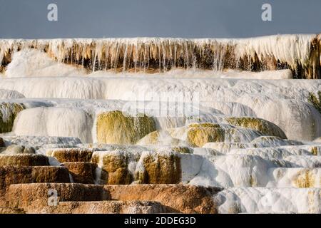 Terrazza a strapiombo, Canary Spring, Main Terrace, Mammoth Hot Springs, Yellowstone National Park, Wyoming, USA. Foto Stock