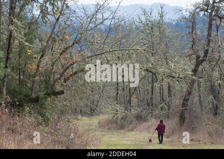 Un uomo che cammina un cane da solo su un sentiero nei pressi di Eugene, Oregon. Foto Stock