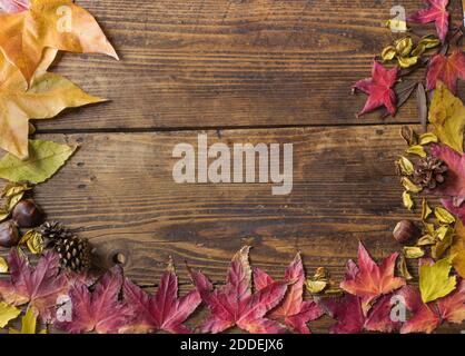 Autunno ancora vita con foglie gialle e rosse, su un vecchio sfondo di legno Foto Stock