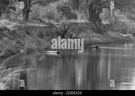 Pescatori sul fiume Luangwa, Zambia Foto Stock