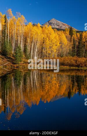 Quaking aspen riflesso in Woods Lake, Uncompahgre National Forest, Colorado Foto Stock