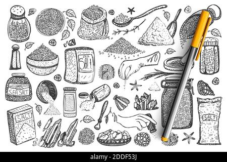 Set di poodle di sale. Raccolta di spezie da cucina condimenti salati di mare in contenitori e scatole di saline isolate su sfondo bianco. Shaker al pepe e supplementi granulari in illustrazione della cucina. Illustrazione Vettoriale