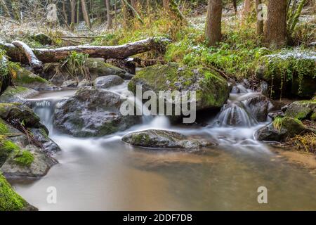 cascata sul piccolo torrente di montagna in un bosco, foto a lunga esposizione con acqua come latte Foto Stock