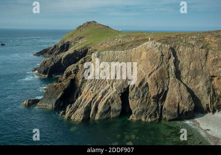 Guardando verso ovest attraverso Wooltack Point e il Deer Park, Martins Haven, Pembrokeshire Coast National Park, Galles. Foto Stock